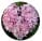 facebook reviewer img